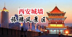 凸轮老妇野外卖逼中国陕西-西安城墙旅游风景区